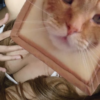 ing🐶's profile picture