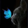 Фото профиля WOONGCC🦋🦋 is a Shawol 💎