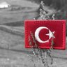 CeylanAykut's profile picture