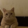 贾仁禄's profile picture