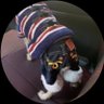 Profilbild von まろ