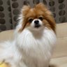 ひまり🐾's profile picture