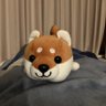 Profilbild von たこやきんぐ