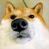 TTDAC's profile picture