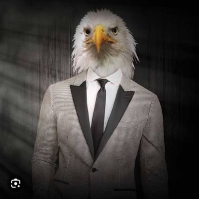 Alexandra puşkhi's profile picture
