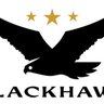 Black Ladyhawk's profile picture