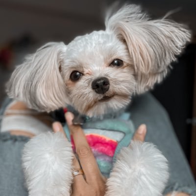 เจ้าชาเย็น ᙏ̤̫ ◡̈'s profile picture