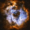 Фото профиля Adam Ferrell