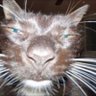 Дмитро profil fotoğrafı