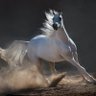 Фото профиля مسلِم
