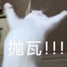 Profilbild von 卤鸡蛋