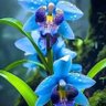 Фото профиля suhib