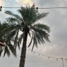 اشراق الصباح's profile picture