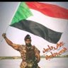 gohary's profile picture