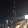 🇦🇪the king🇦🇪's profile picture