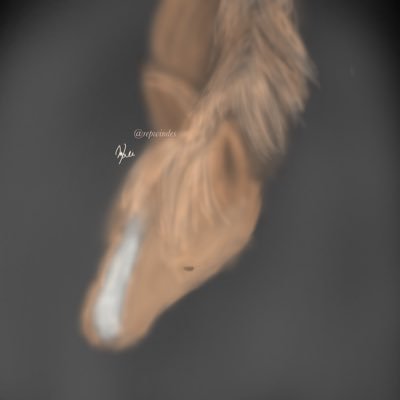repwindes's profile picture