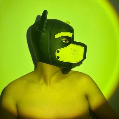 SuckerMarko's profile picture