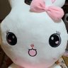 大人こうくん's profile picture