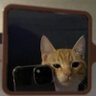 Profilbild von chelle_gm