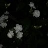 Фото профиля Sayanz
