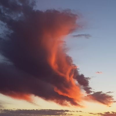 susanamet's profile picture
