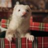 Profilbild von りじゅ