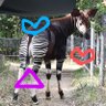 ãªã«ãÙ©( á )Ù's profile picture