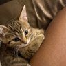 Catfishingpeople profil fotoğrafı