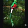 Botros profil fotoğrafı