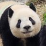 弥生 profil fotoğrafı