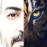 SEÑOR MADDY profil fotoğrafı