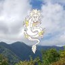美 的头像