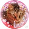 なな profil fotoğrafı