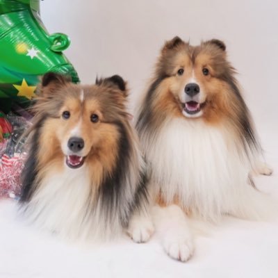Bentley Cartier Official's profile picture