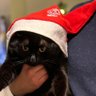 Profilbild von Claw