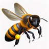 Agent Honeybee 🍊's profile picture