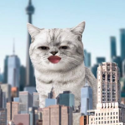 H@RU's profile picture