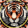Oscar Varela Mtz's profile picture
