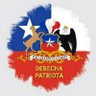 arroba15 Derecha Patriota profil fotoğrafı