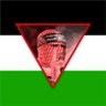 Adam mohmmad's profile picture