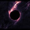 Orbit profil fotoğrafı