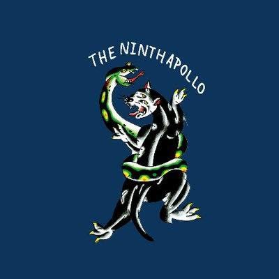 tnainfo_bot's profile picture