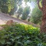 Nay_1978 profil fotoğrafı