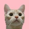 ミネルヴァ🌸🐈🌸🐰📱はい、NFFサービスです🌸ホットミルク教🍼🐈's profile picture