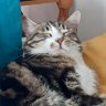 Noch's profile picture