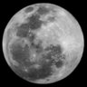Bandar_Al-Hilali's profile picture