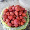 Profilbild von Клубник Клубники
