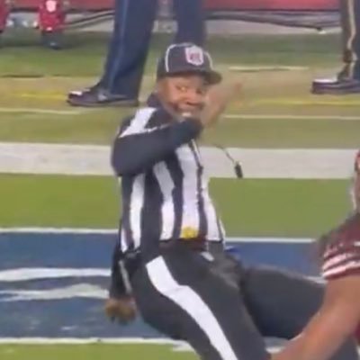 Bad Sports Refs's profile picture