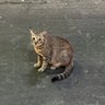 eric68's profile picture