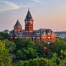 War DAMN's profile picture